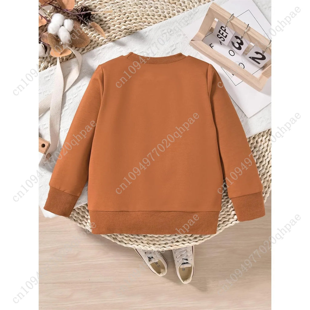 Toddler Boy Birthday Outfit Two/Three/Four/Five/Six Sweatshirt Shirts Birthday Gift