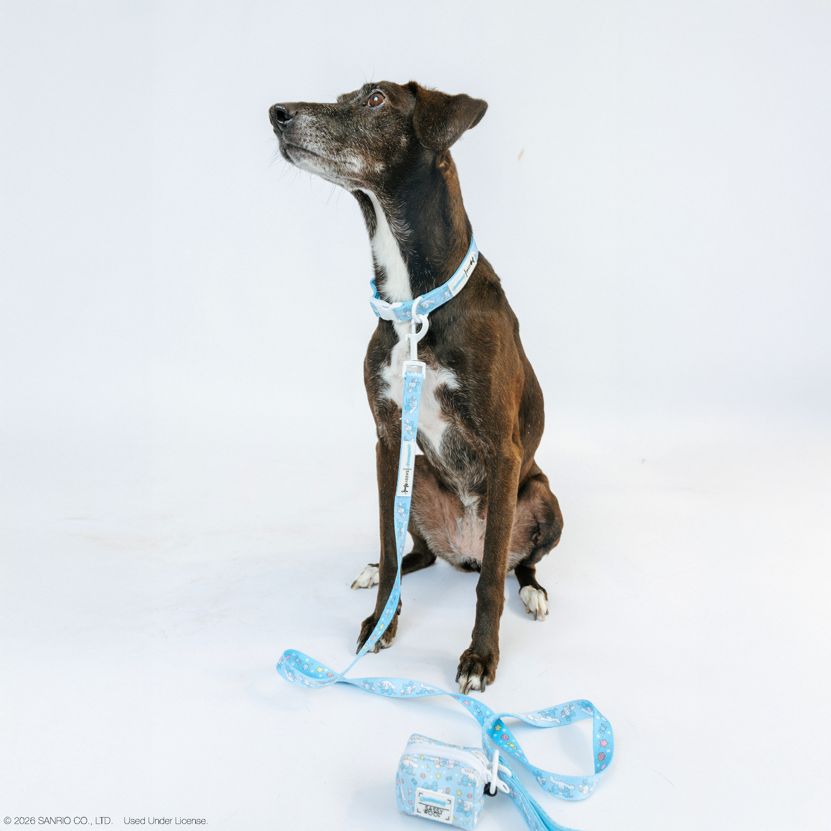Dog Collar - Cinnamoroll™