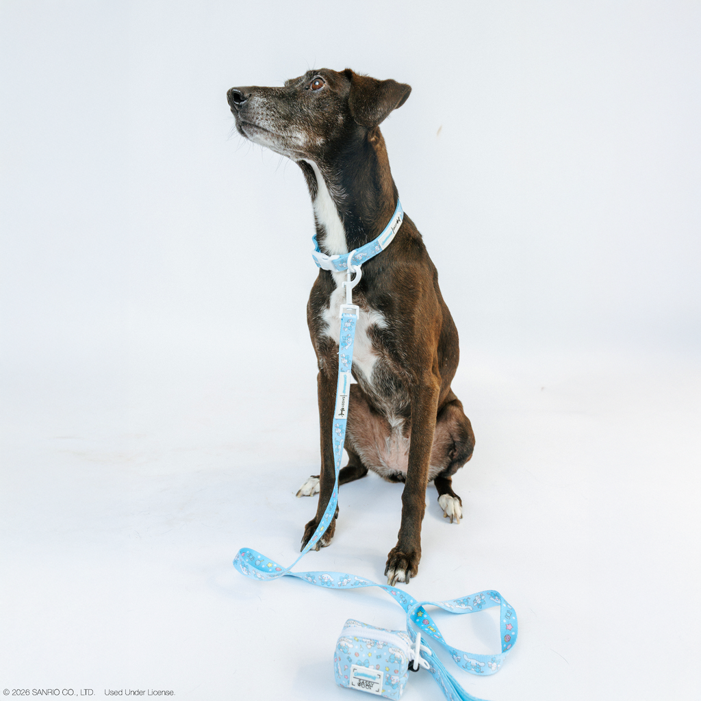 Dog Leash - Cinnamoroll™