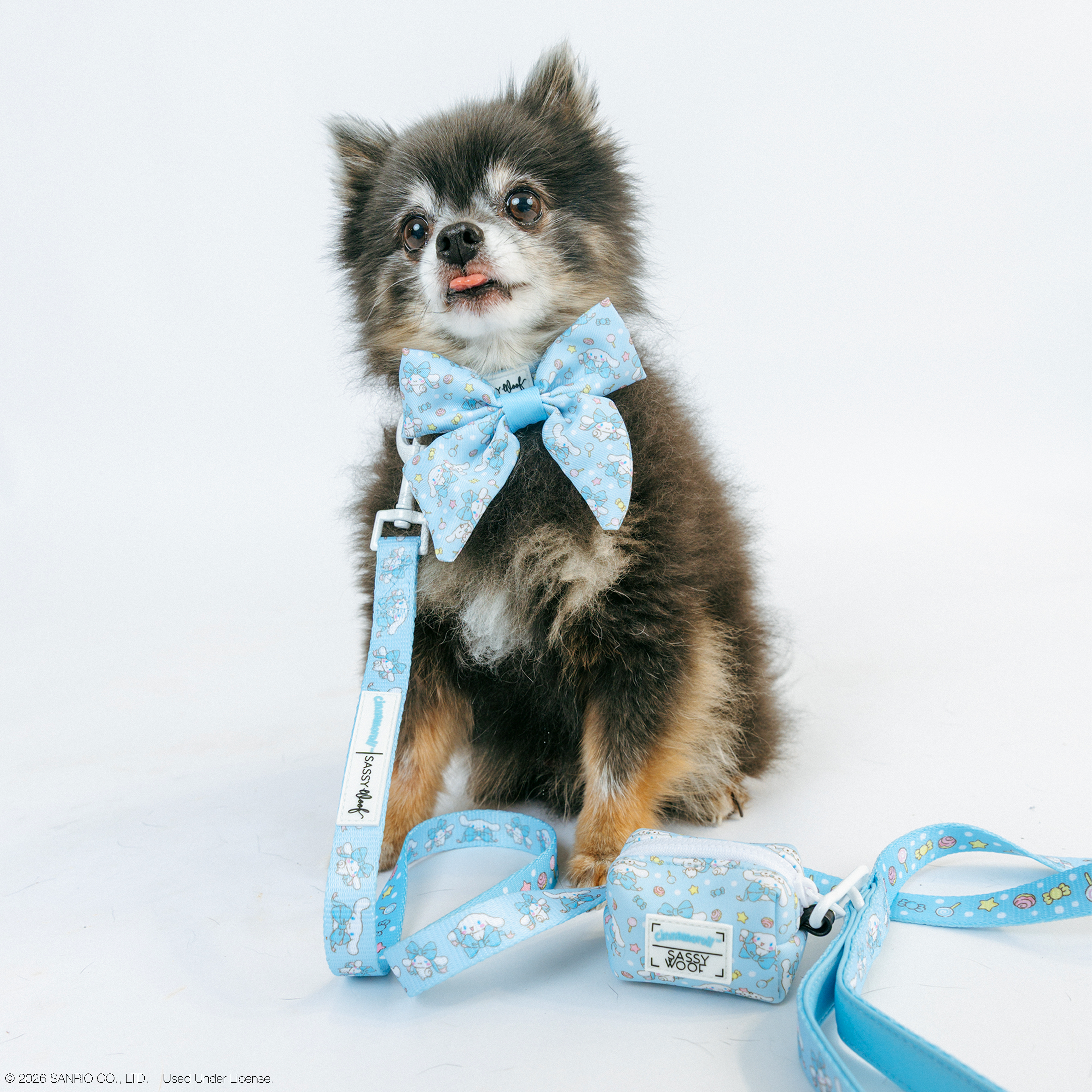 Dog Collar - Cinnamoroll™