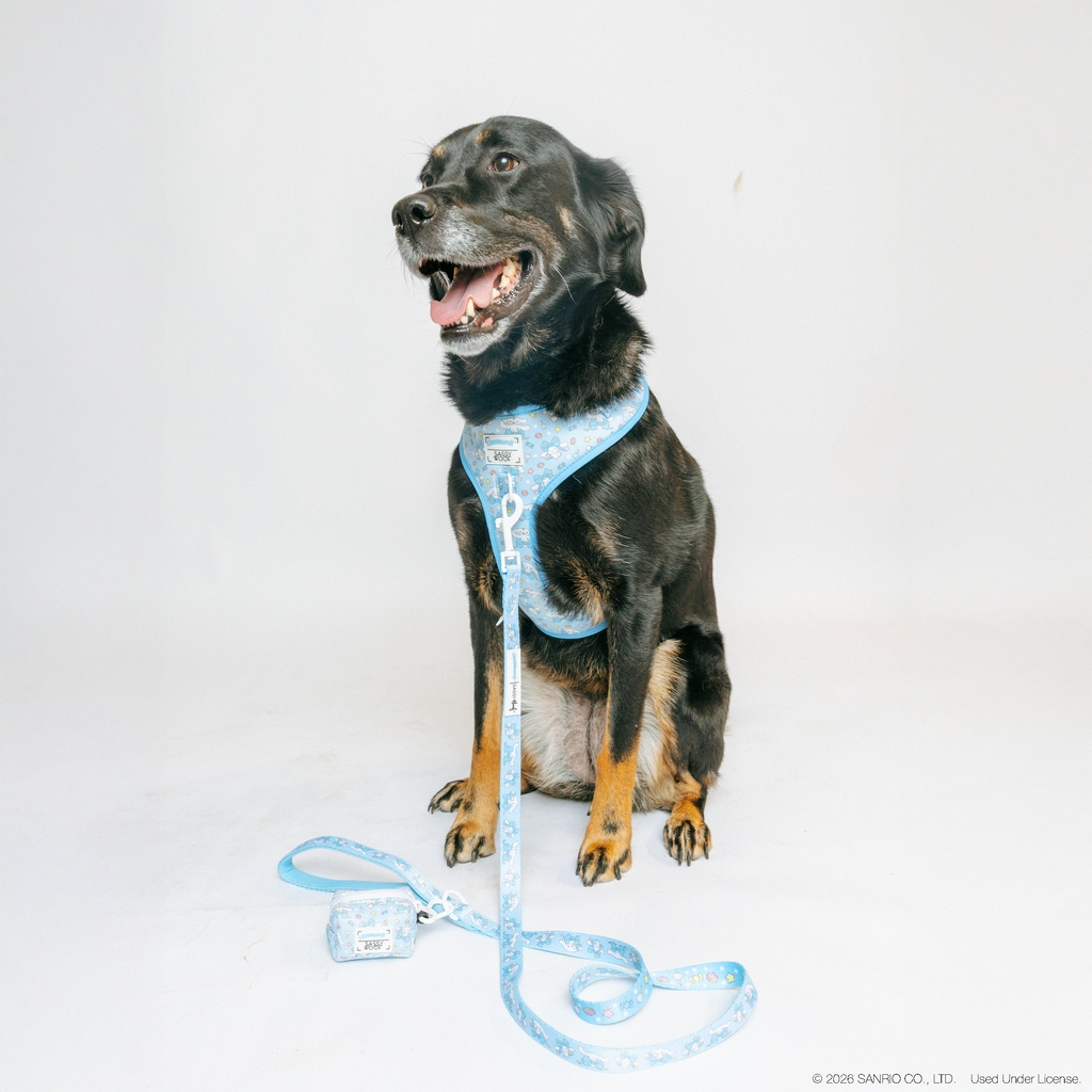 Dog Leash - Cinnamoroll™
