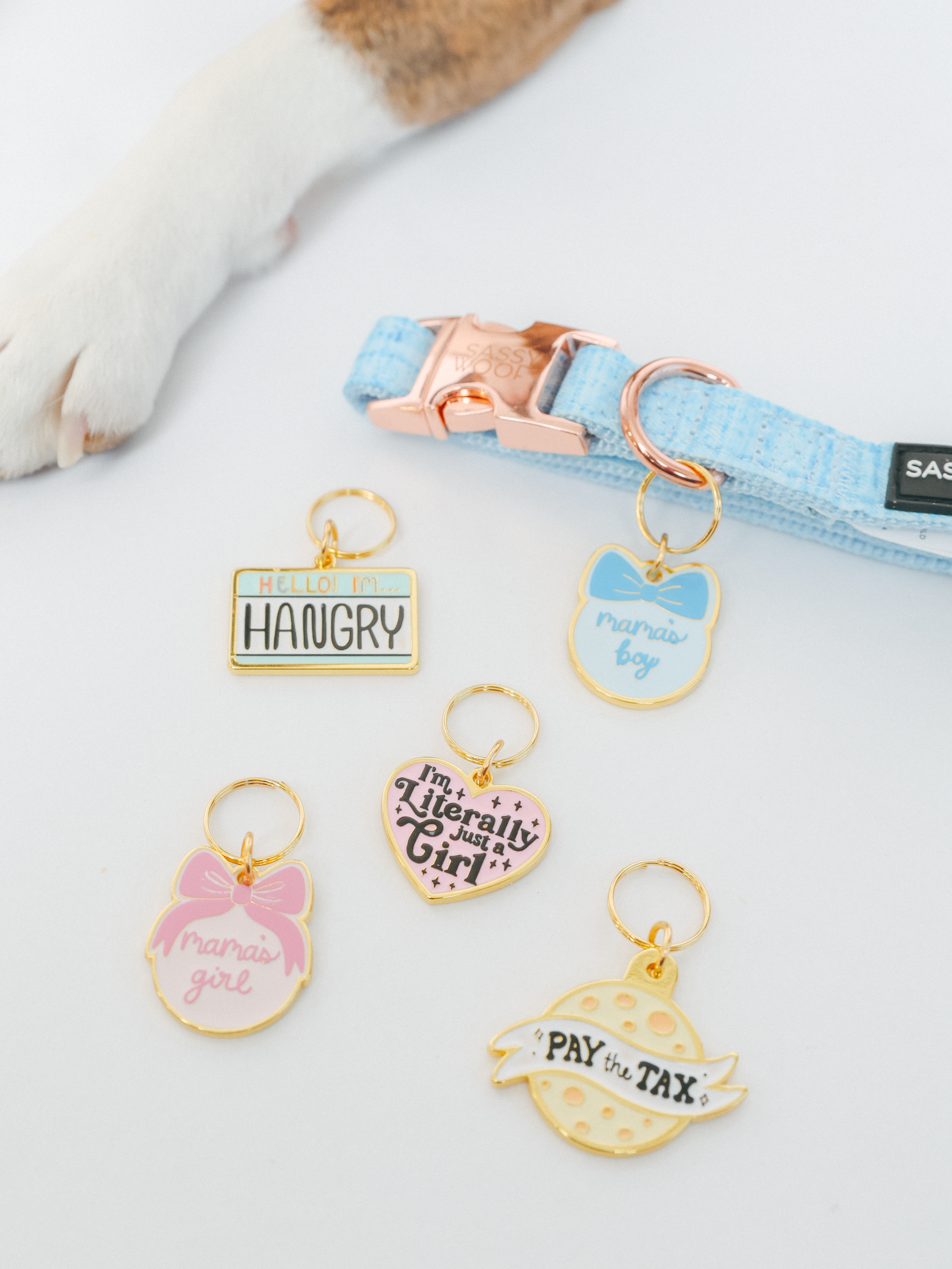 Collar Tag - Mama's Boy