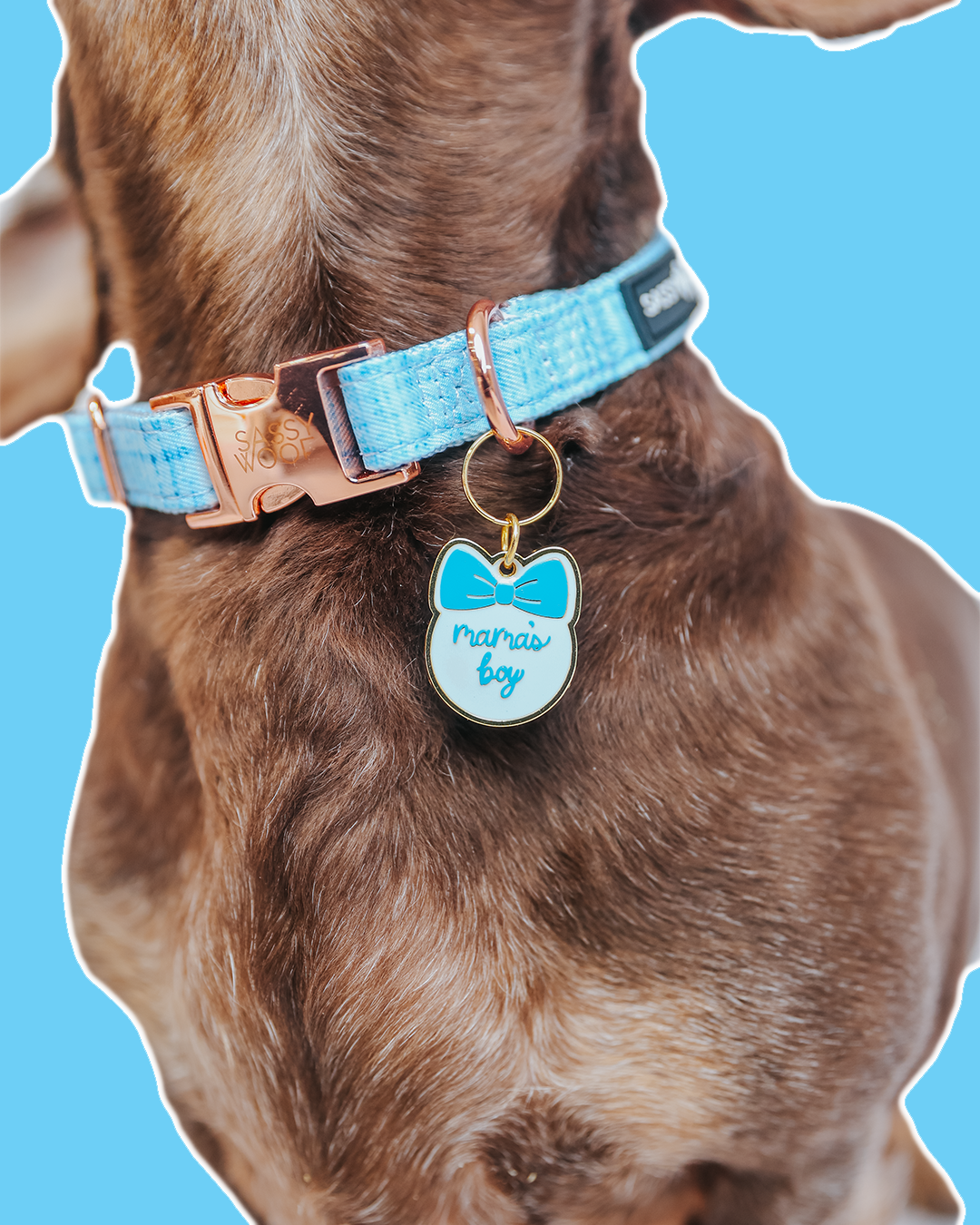 Collar Tag - Mama's Boy