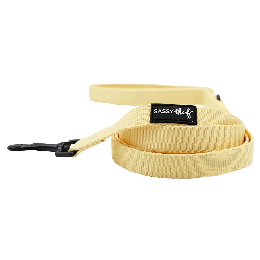 Dog Leash - Daffodil