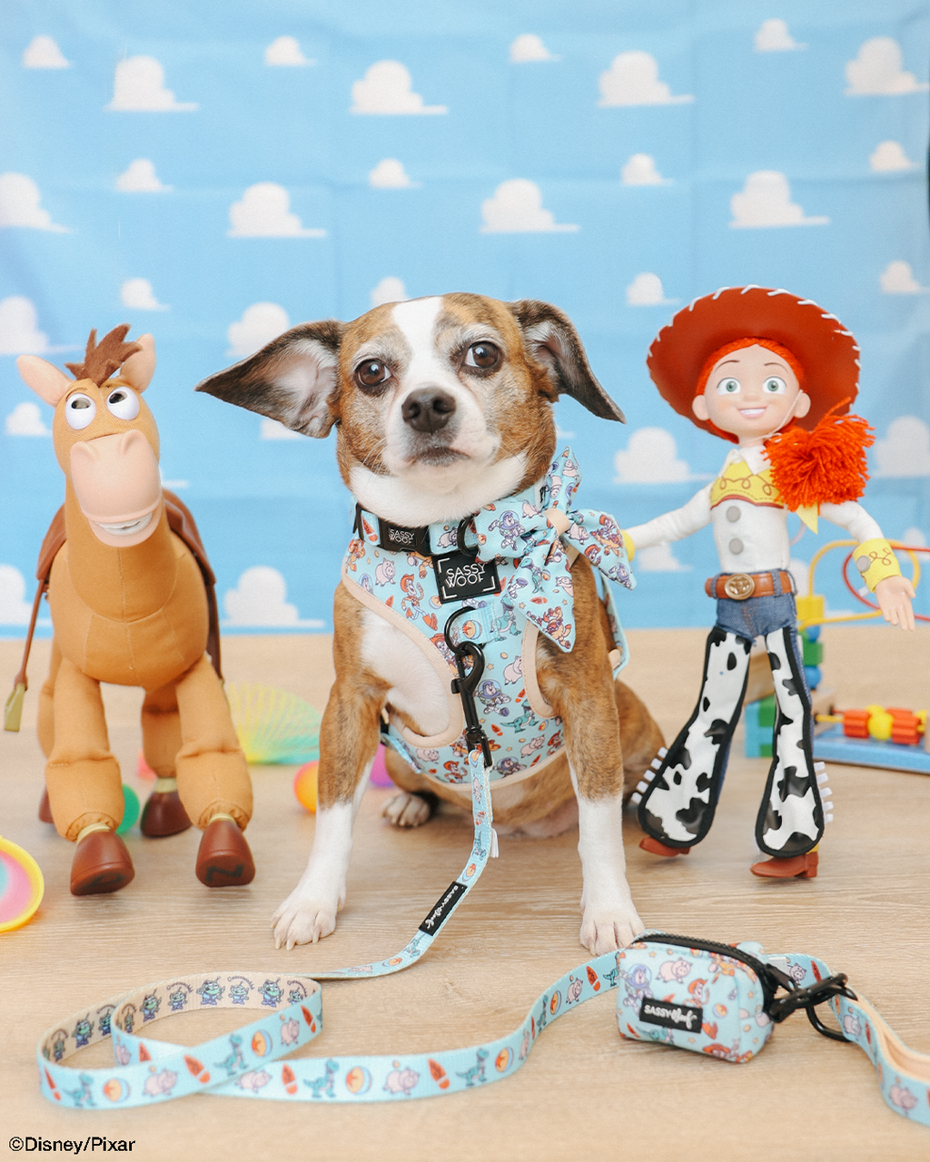 Dog Leash - Disney and Pixar's Toy Story