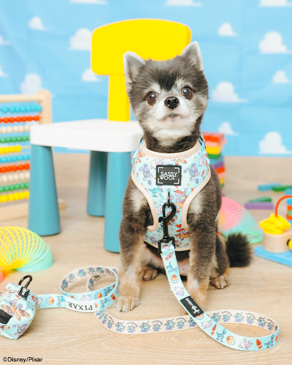 Dog Leash - Disney and Pixar's Toy Story