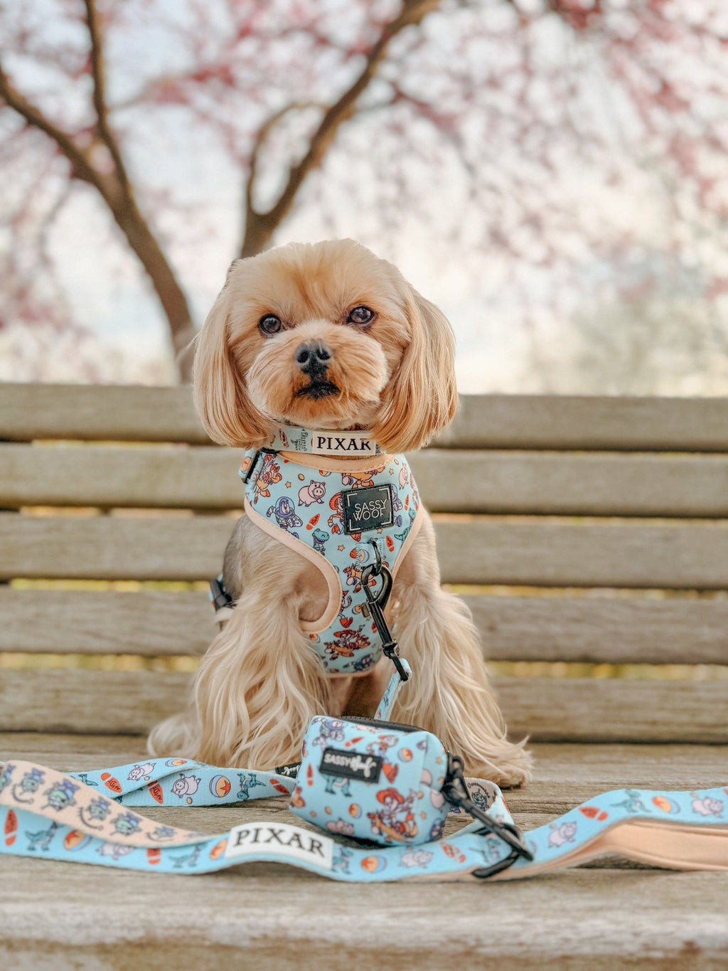 Dog Leash - Disney and Pixar's Toy Story