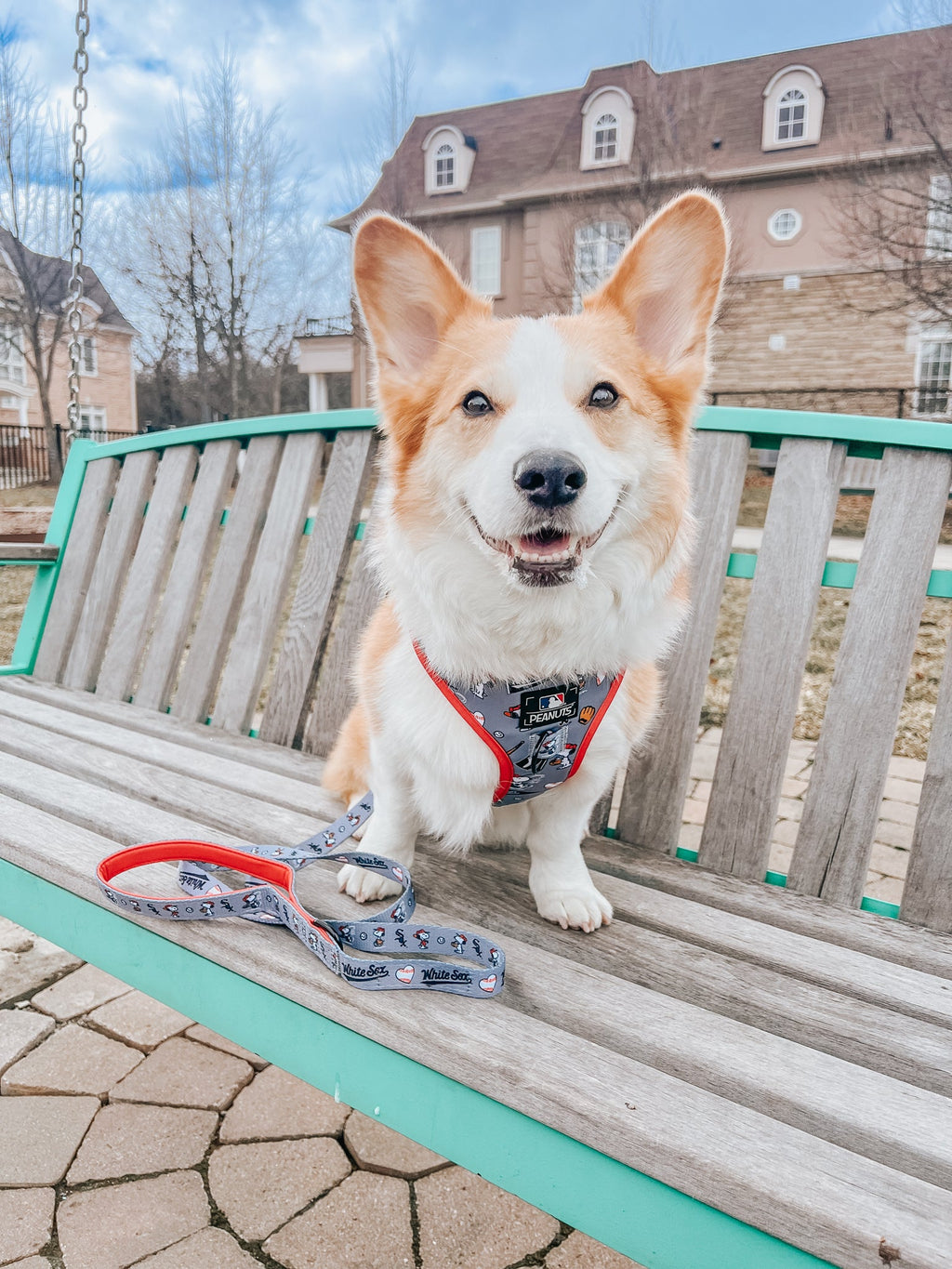 Dog Adjustable Harness - MLB™ x Peanuts™ Chicago White Sox™