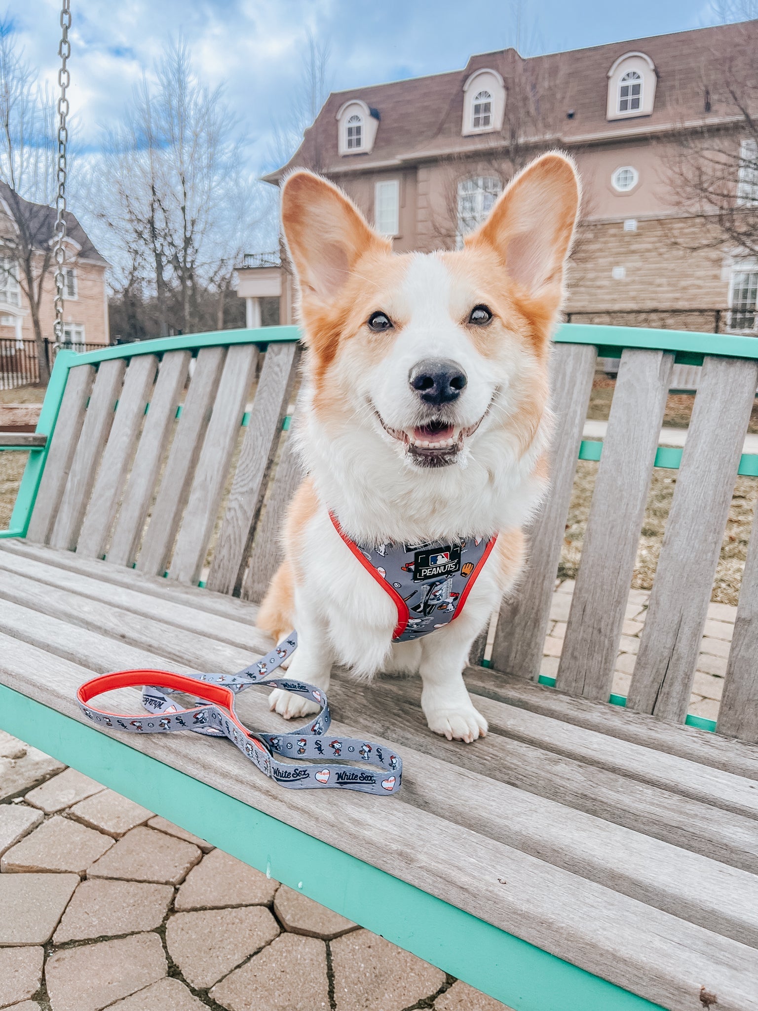 Dog Adjustable Harness - MLB™ x Peanuts™ Chicago White Sox™