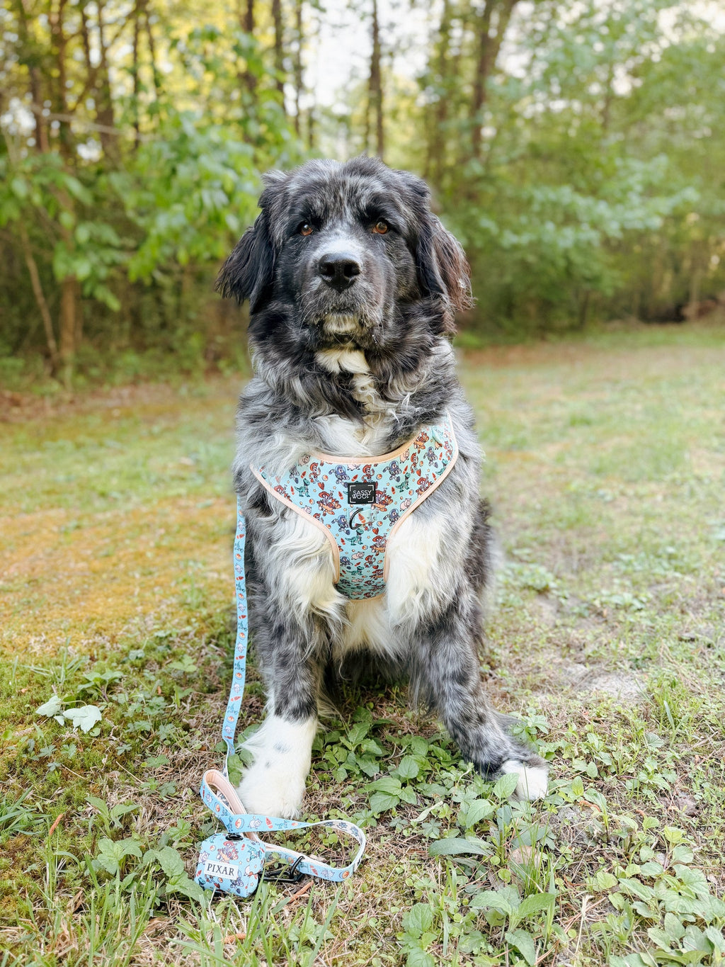 Dog Leash - Disney and Pixar's Toy Story