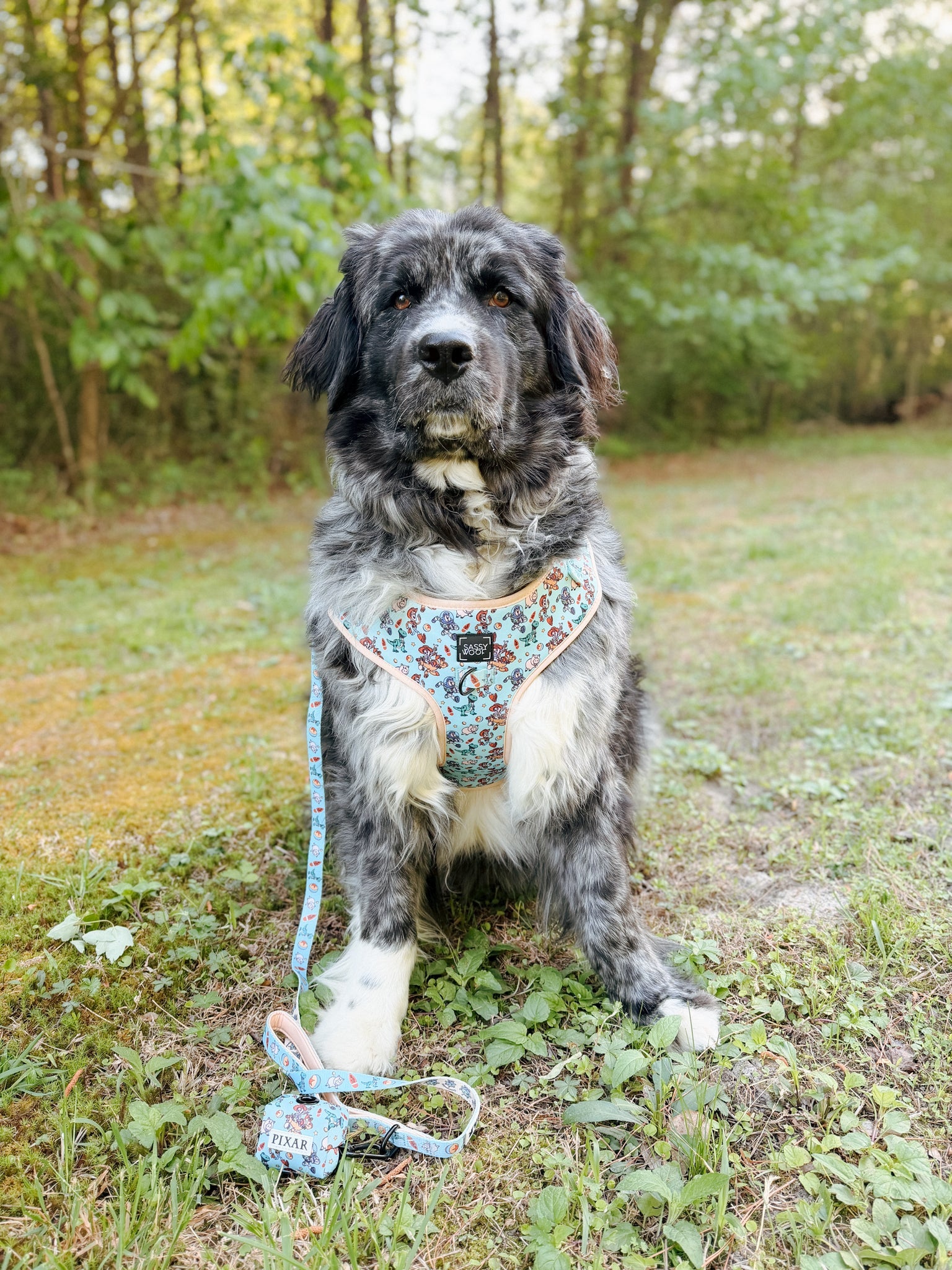 Dog Leash - Disney and Pixar's Toy Story