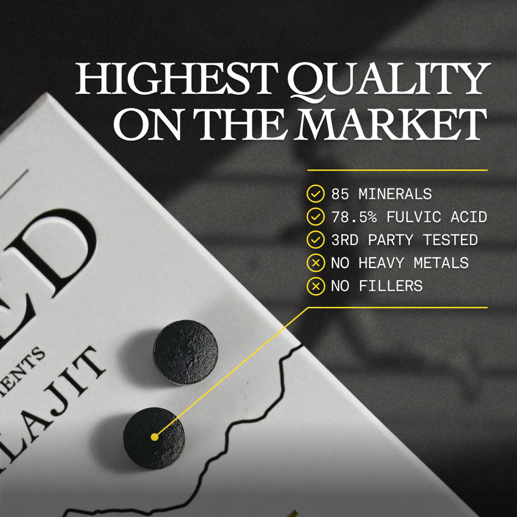 Shilajit Tablets