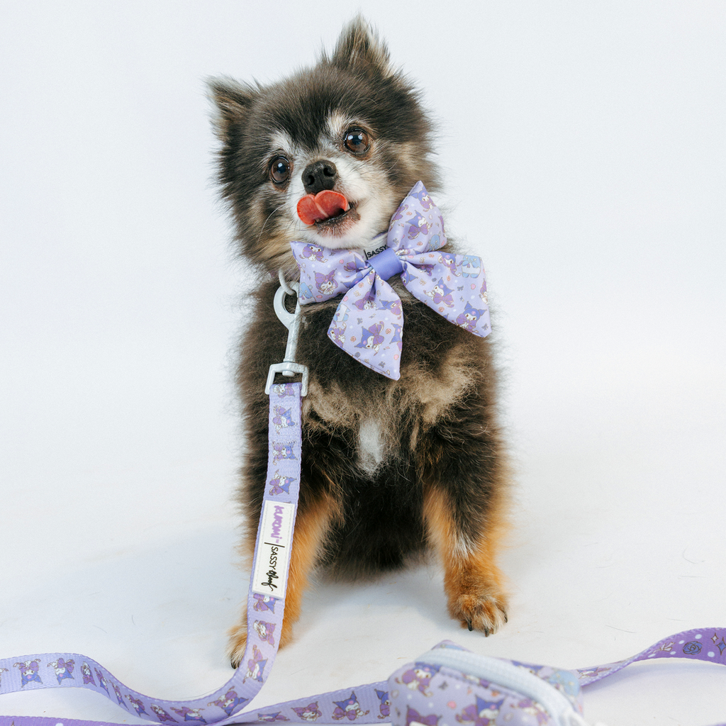 Dog Leash - Kuromi™