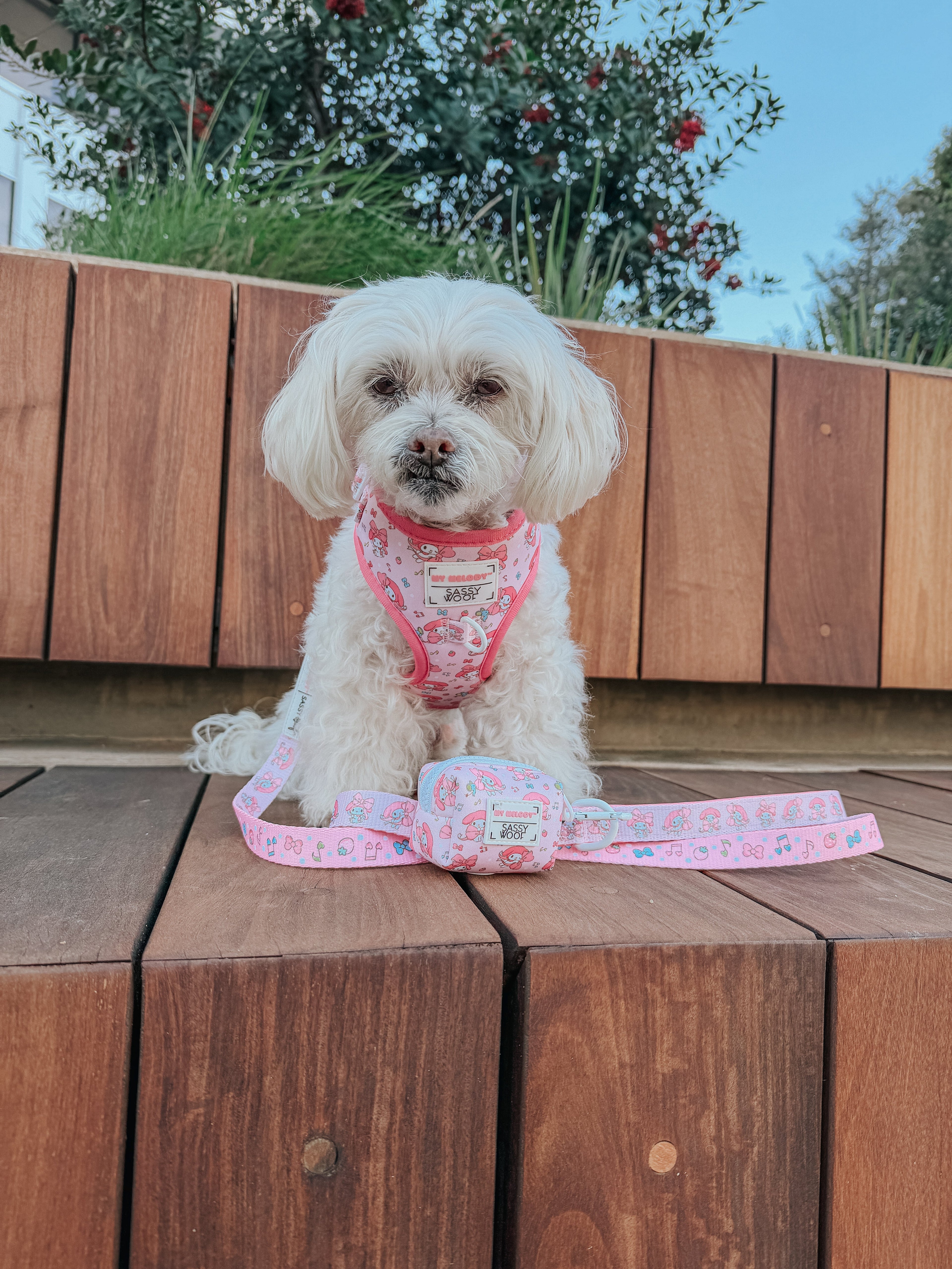 Dog Adjustable Harness - My Melody™