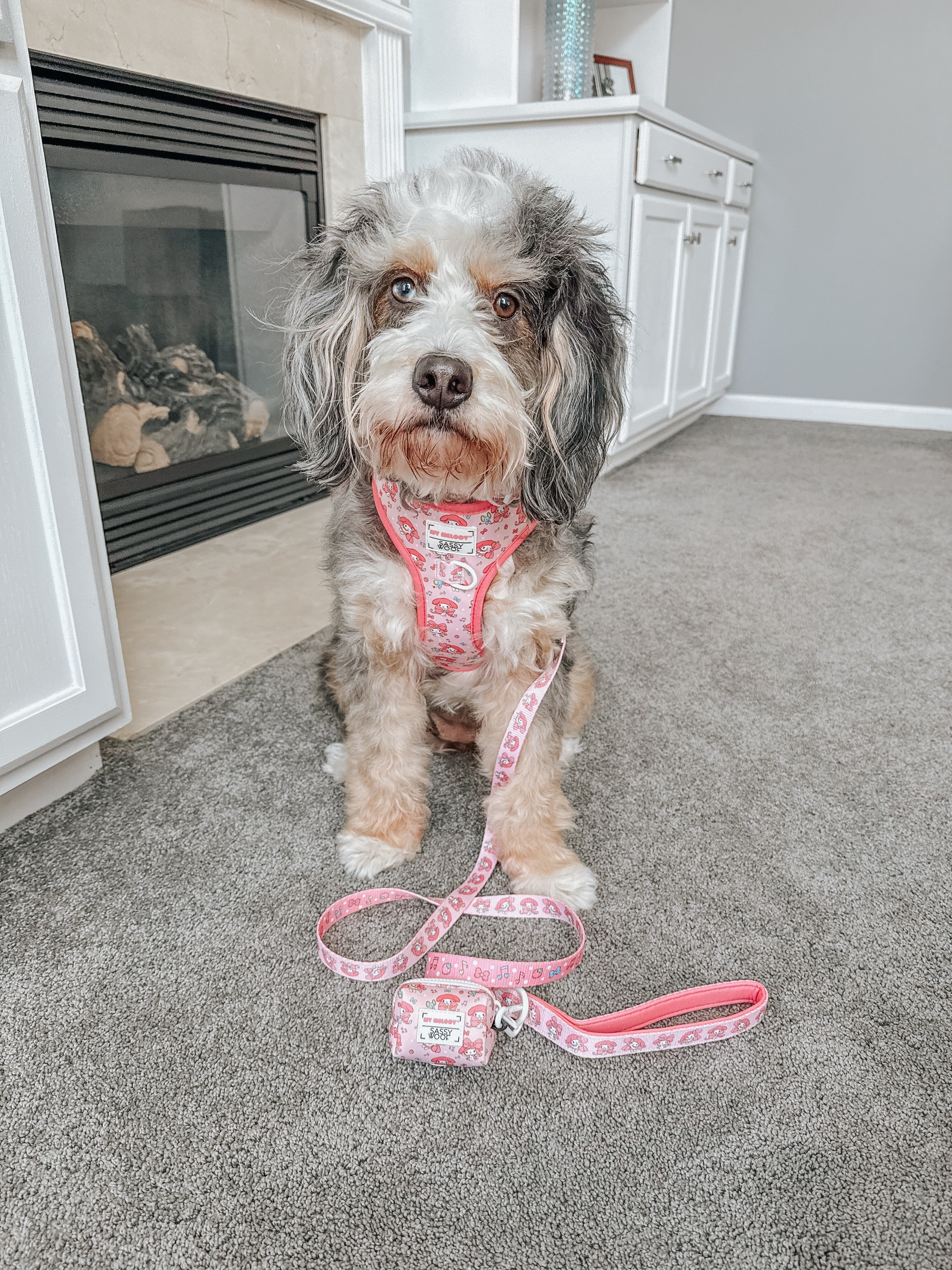 Dog Two Piece Bundle - My Melody™