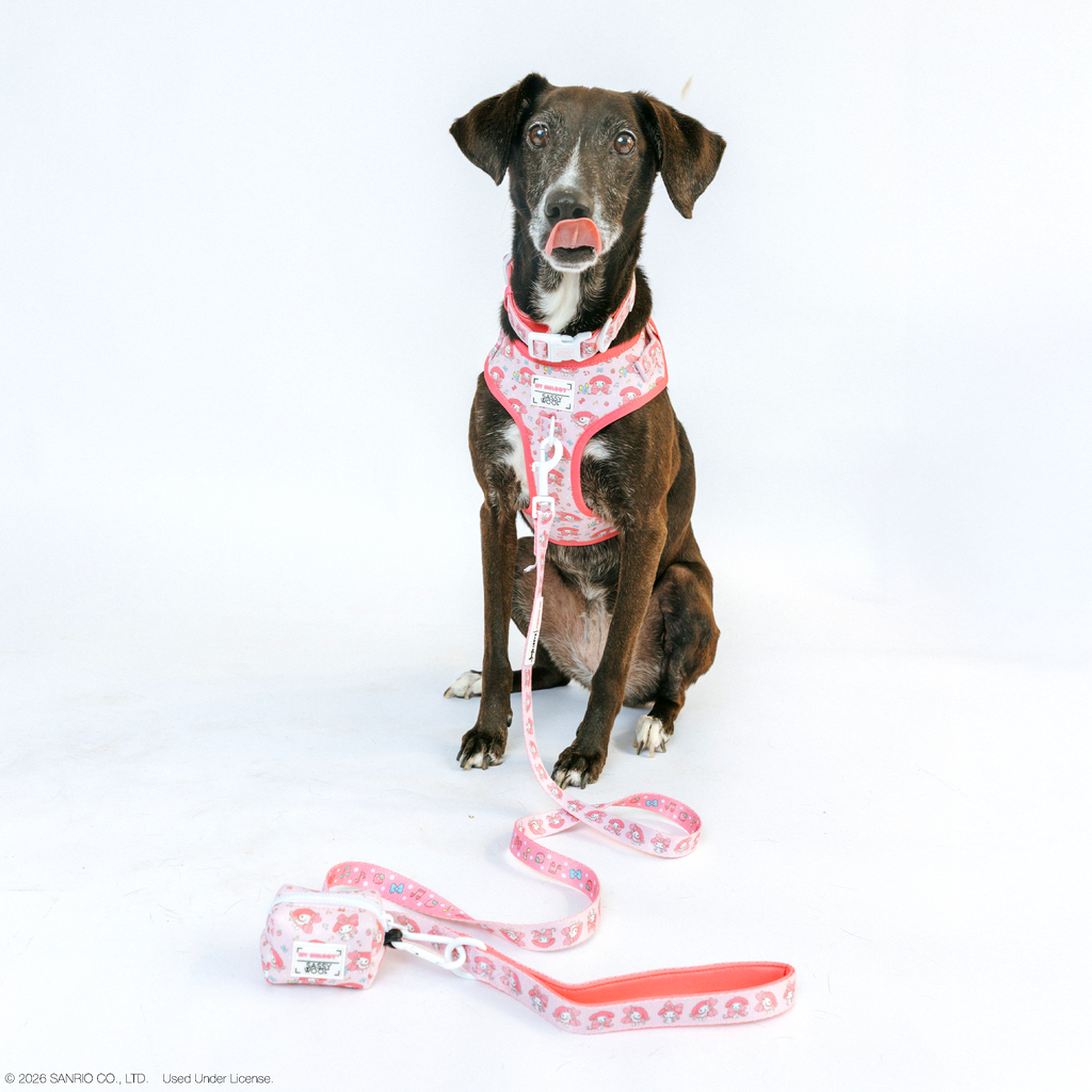 Dog Four Piece Bundle - My Melody™