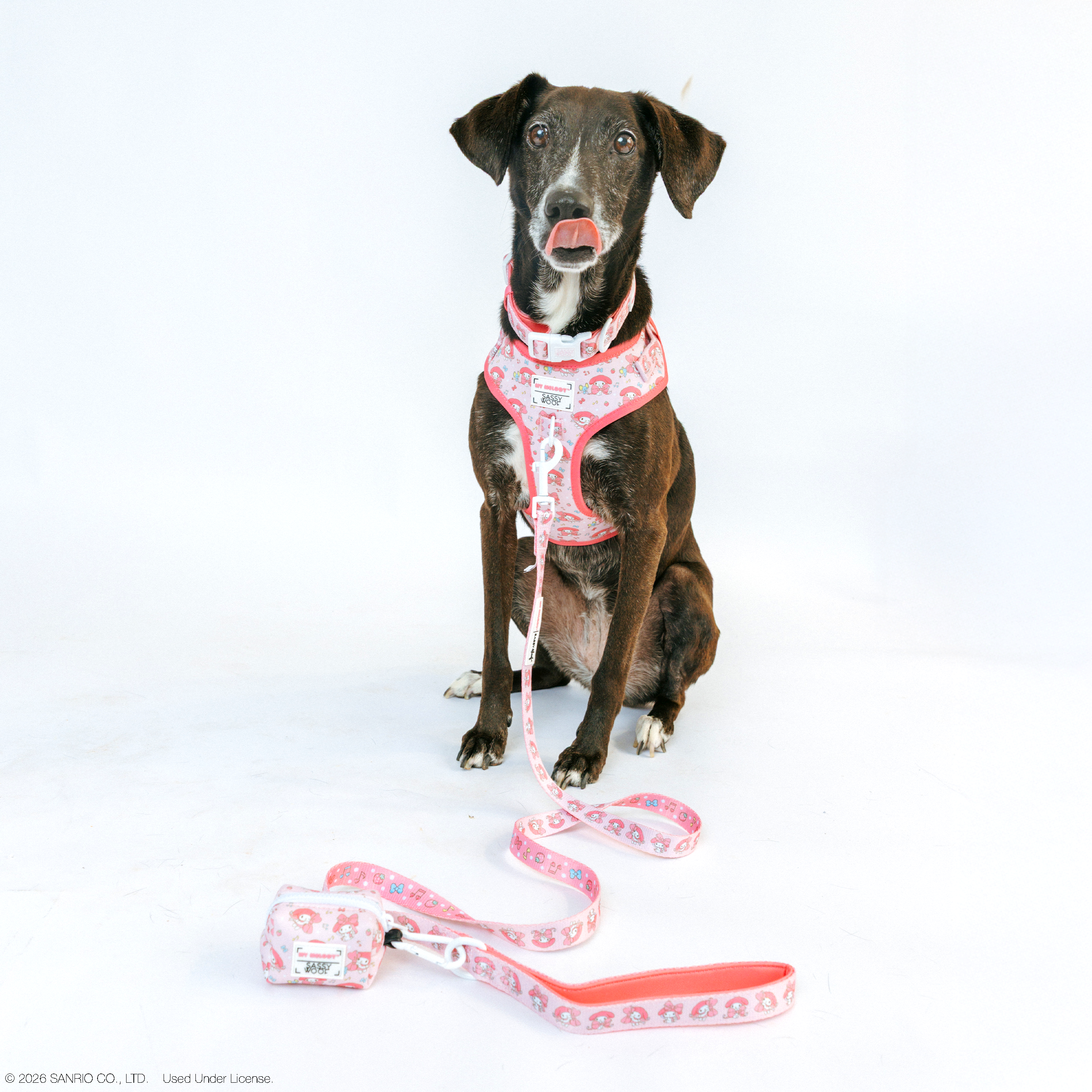 Dog Adjustable Harness - My Melody™