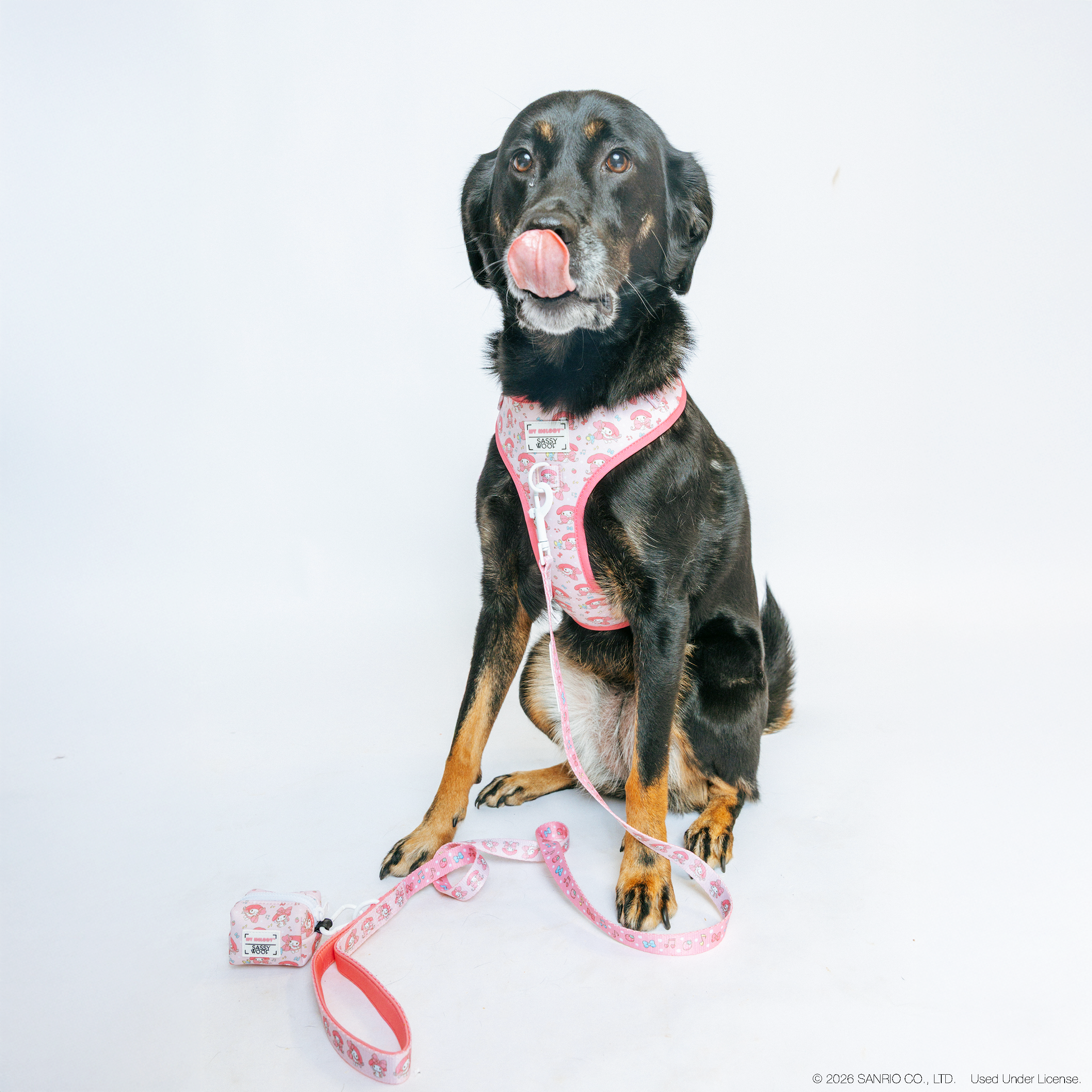 Dog Four Piece Bundle - My Melody™