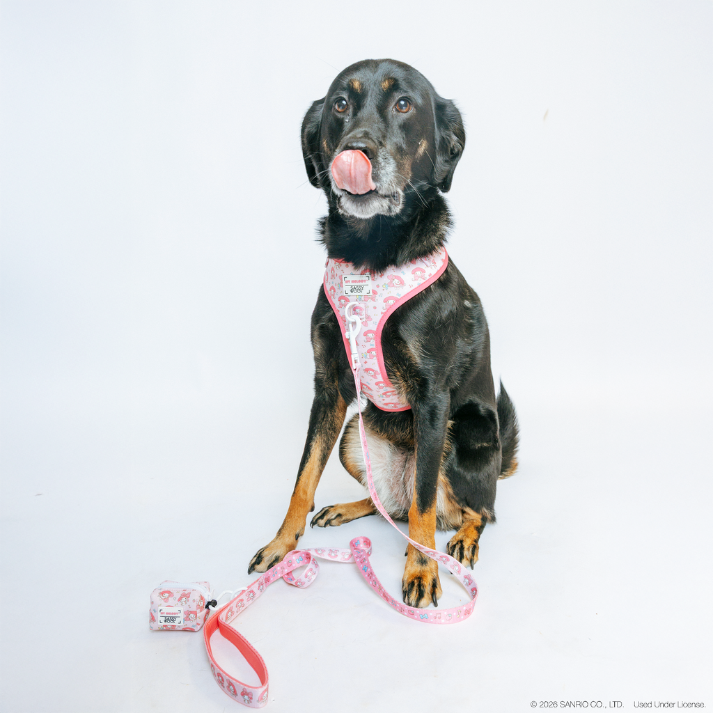 Dog Adjustable Harness - My Melody™