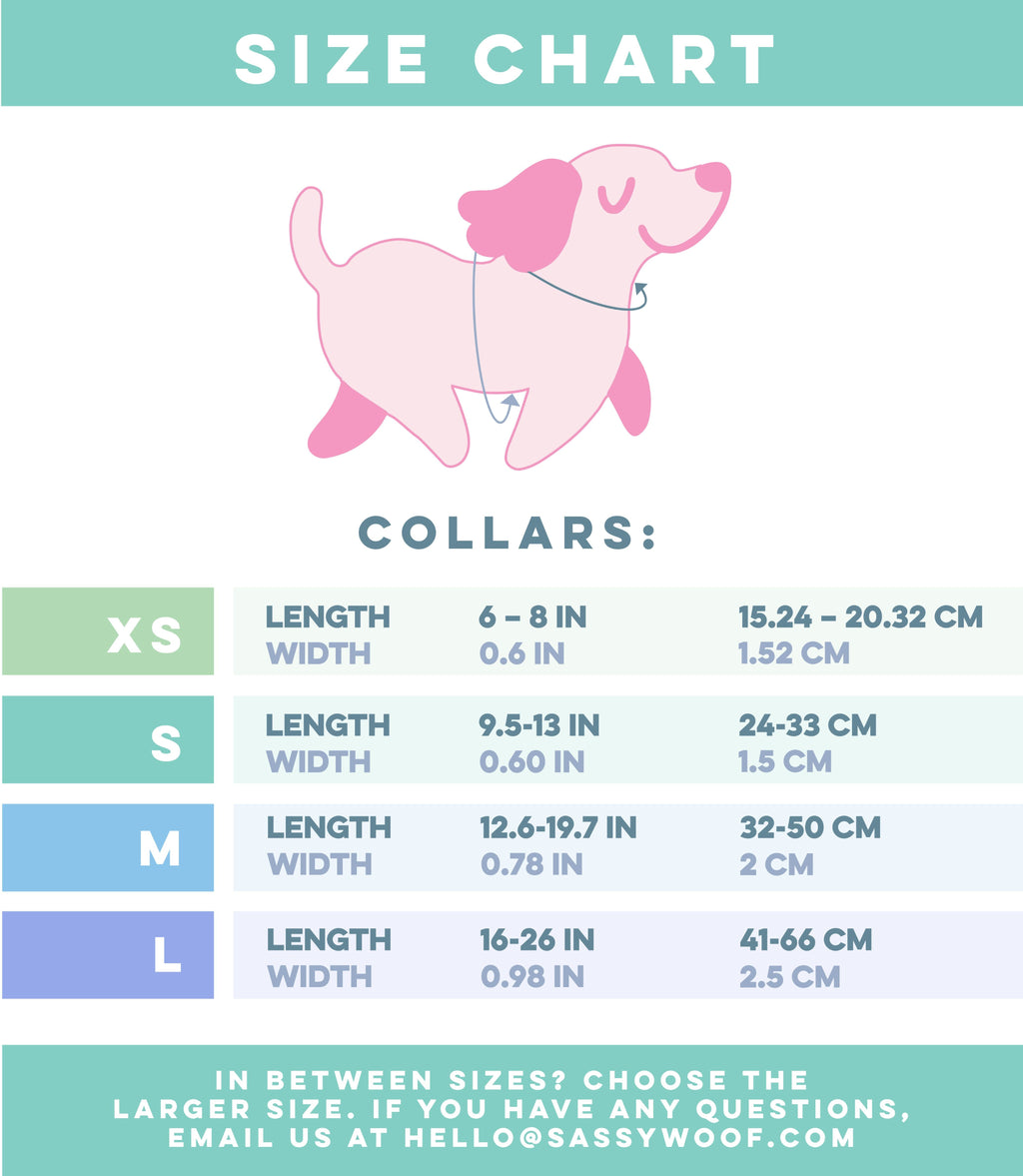 Dog Collar - Cinnamoroll™