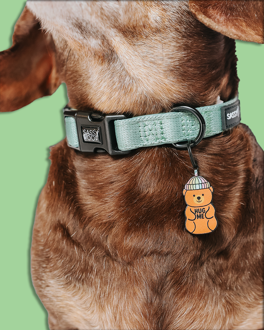 Collar Tag - Hug Me Bear