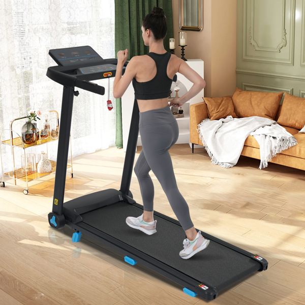 538653301