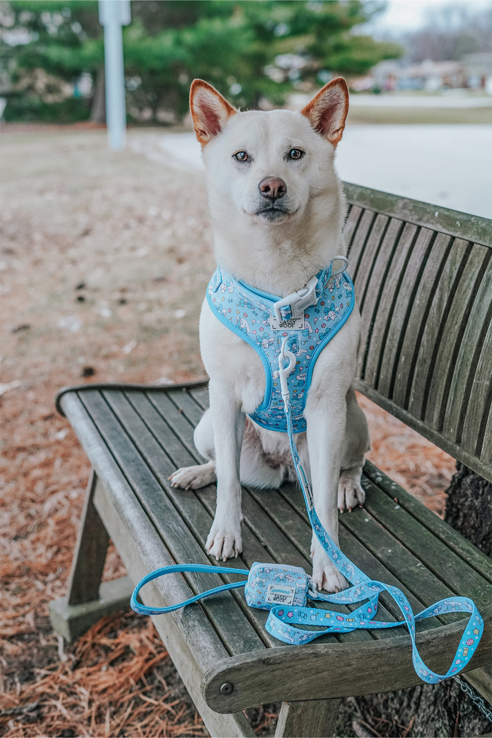 Dog Leash - Cinnamoroll™