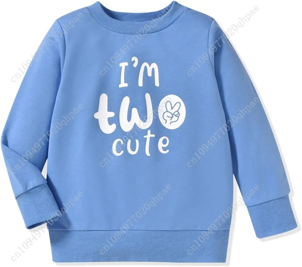 Toddler Boy Birthday Outfit Two/Three/Four/Five/Six Sweatshirt Shirts Birthday Gift