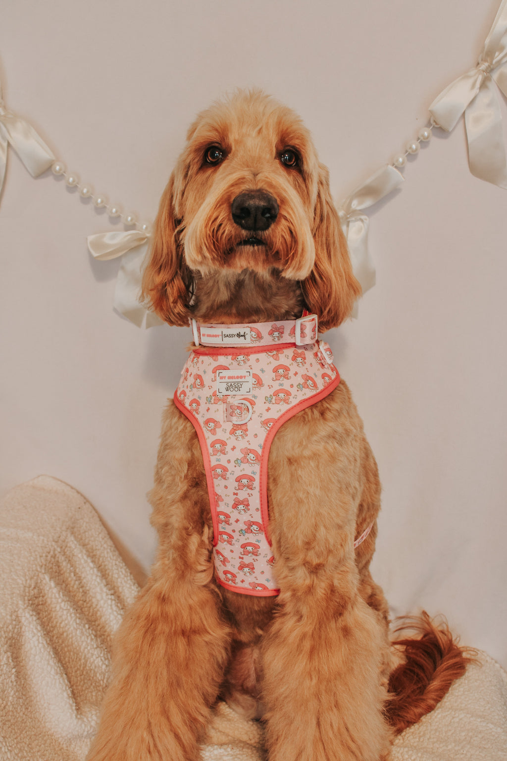Dog Two Piece Bundle - My Melody™