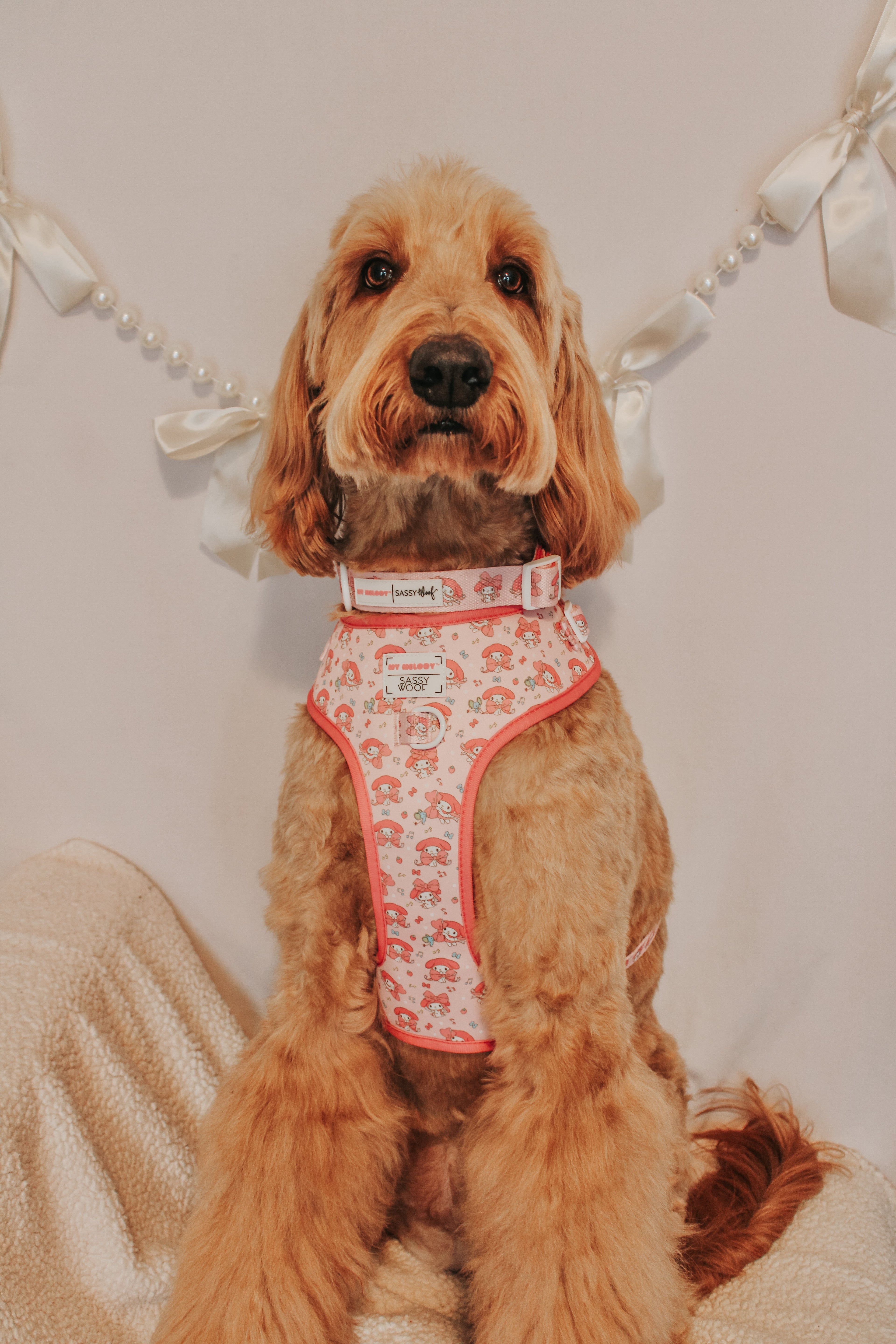 Dog Adjustable Harness - My Melody™