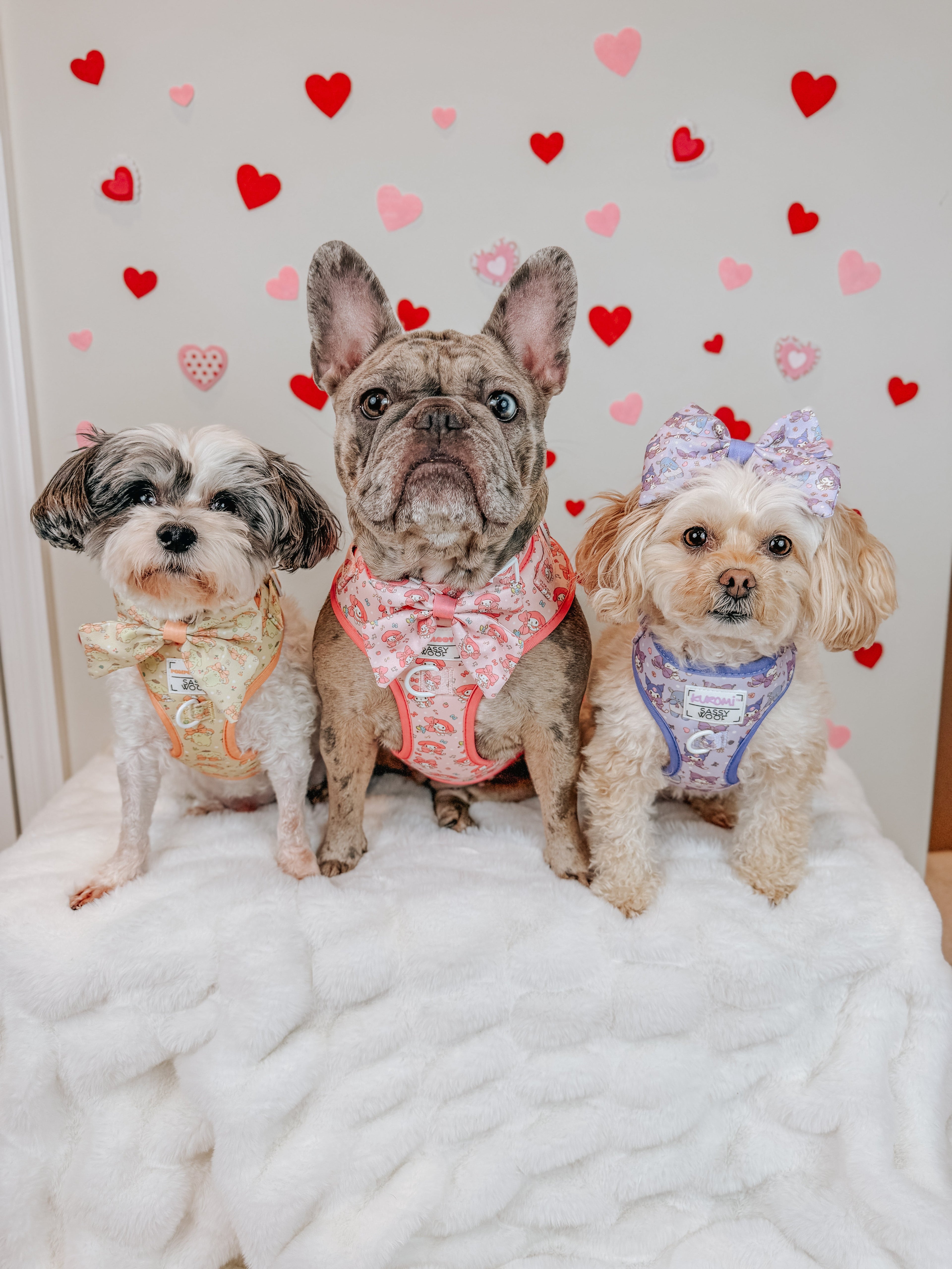 Dog Four Piece Bundle - My Melody™