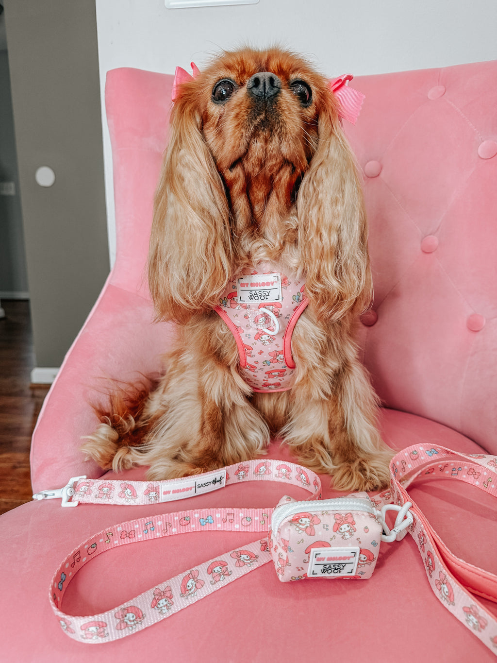 Dog Two Piece Bundle - My Melody™