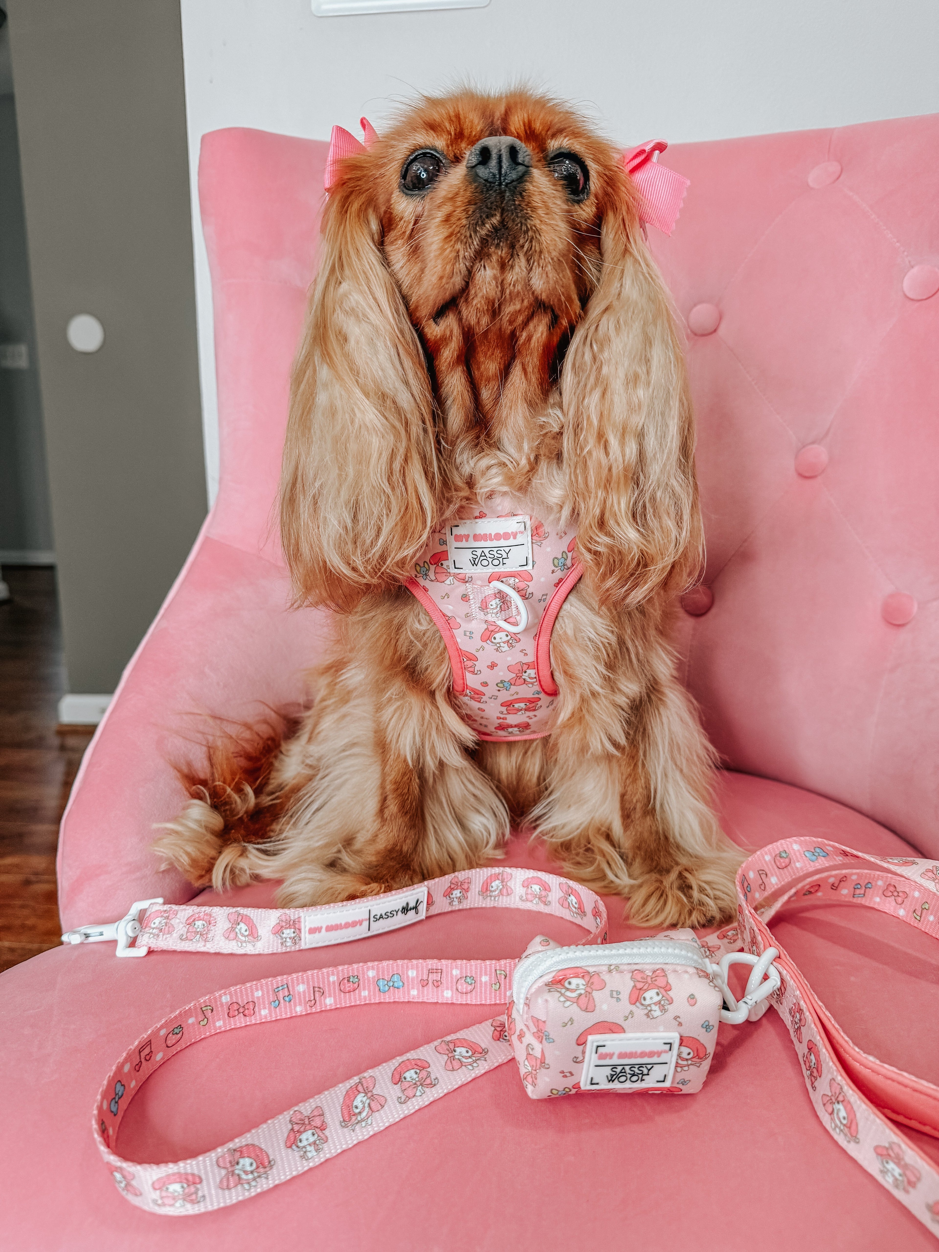 Dog Two Piece Bundle - My Melody™