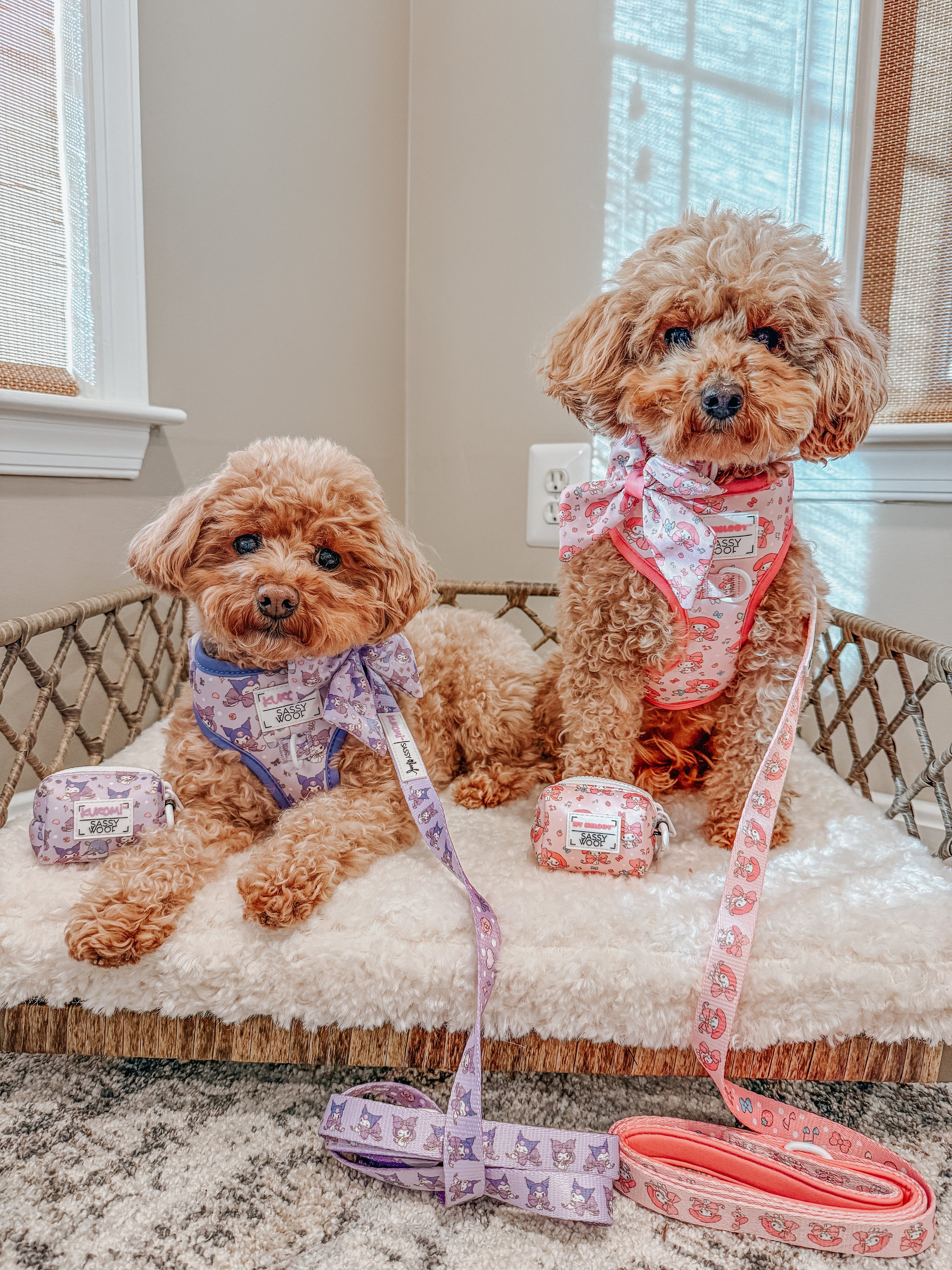 Dog Two Piece Bundle - My Melody™