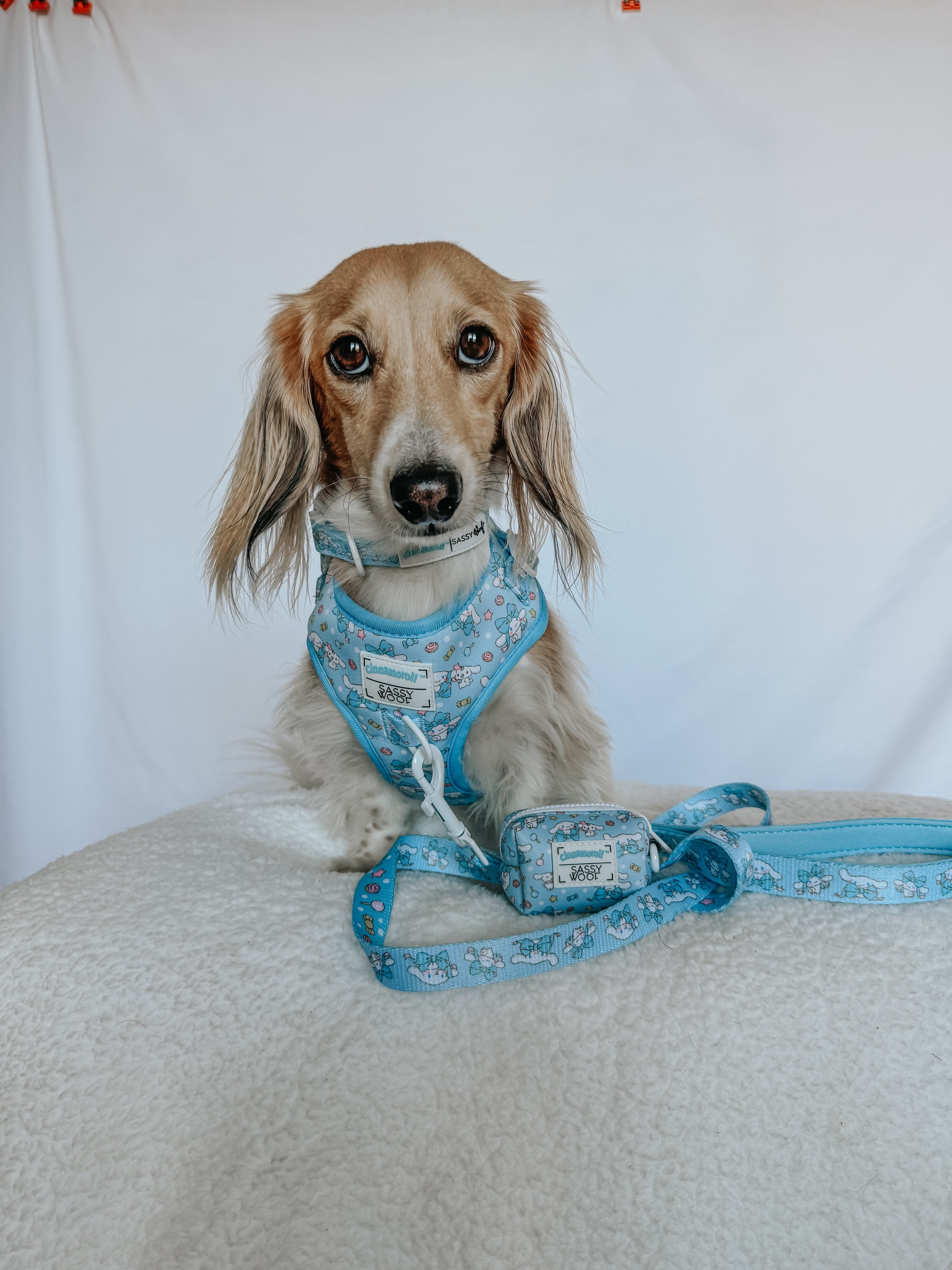 Dog Leash - Cinnamoroll™