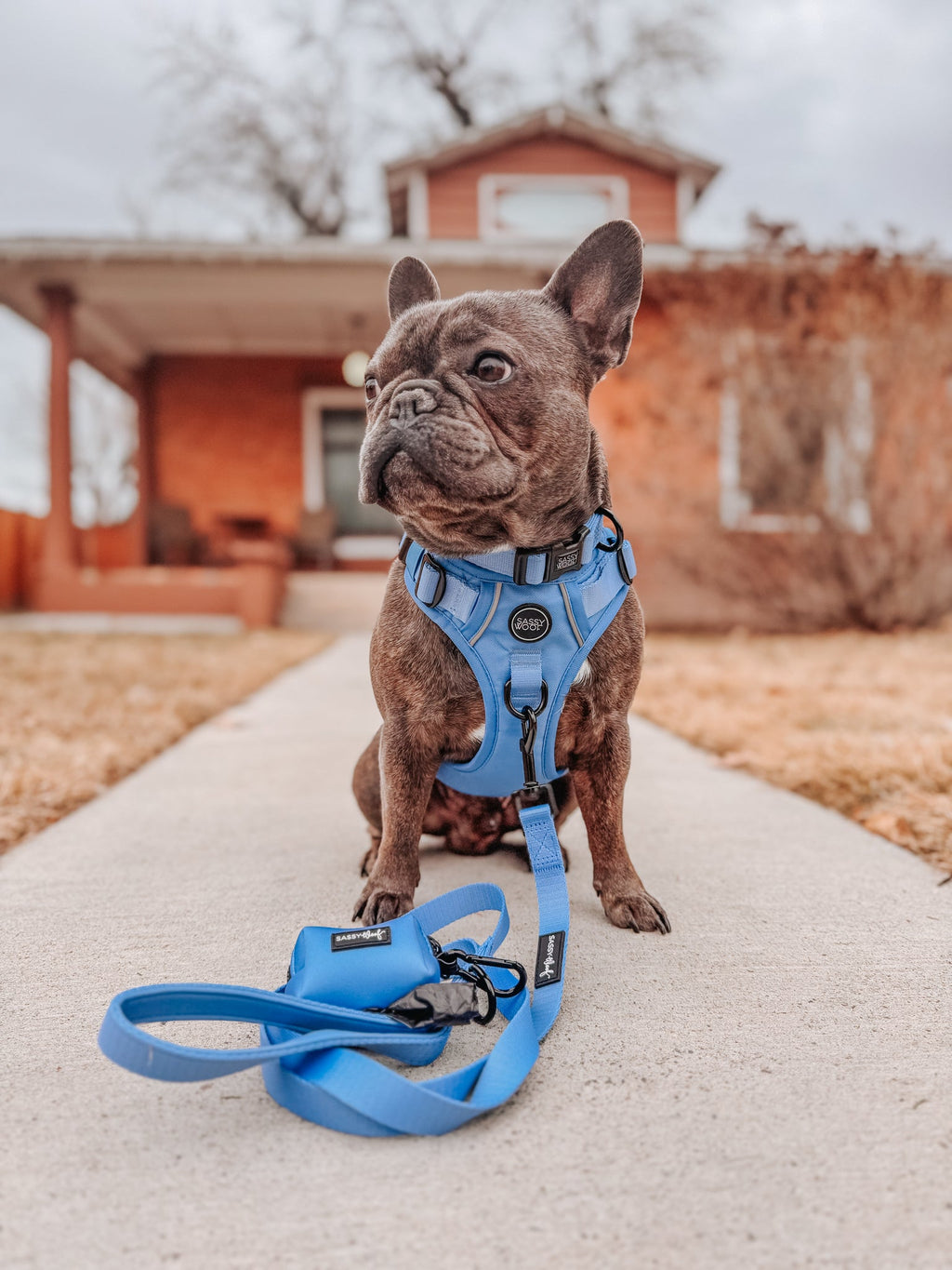 Dog Step-in Harness - Hydrangea